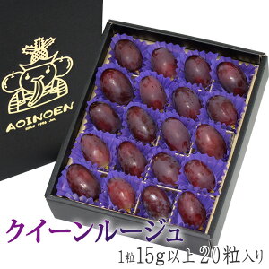 yΔ NC[[Wz 120 x t[c Mtg lߍ킹 nEB ފ yY a j j j oYj j 蕨  䌩 