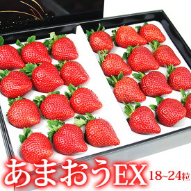★500円offクーポン配布中★【厳選大粒 いちご】 あまおう EX 1パック〜 エクセレント 福岡産 フルーツ ギフト お年賀 詰め合わせ プレゼント お見舞い 手土産 お誕生日 お祝い 内祝い 出産内祝い 婚礼内祝い お礼 御見舞 退院祝い 快気祝い 果物 お供え お供え物 法事