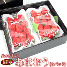 ☆今だけポイント10倍☆人気＆厳選 いちご ギフトF福岡産 あまおう 2パック フルーツ 果物 ギフト 詰め合わせ ホワイトデー お彼岸 入園 入学 卒業 プレゼント 手土産 お誕生日 お祝い 内祝い 出産内祝い 婚礼内祝い 贈り物 お礼 御見舞 退院祝い 快気祝い お返し お供え