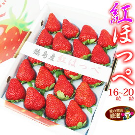 【送料込】【厳選 大粒 いちご】 紅ほっぺ（徳島産）16～20粒 プレゼント 手土産 誕生日 景品 お礼 粗品 お見舞い 出産 イチゴ フルーツ 果物 内祝い お供え お悔やみ ギフト 贈り物 お返しホワイトデー