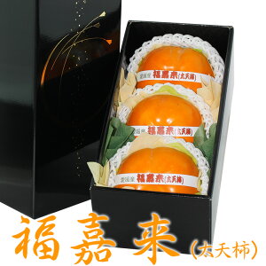 × (3)  JL t[c Mtg lߍ킹 v[g yY a j j j oYj j 蕨  䌩  މ@j ʕ Ԃ  