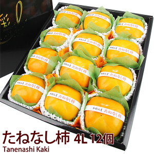 Y  Ȃ` 4LTCYi 6`jia̎RY ޗǎYjj` ܂ `kaki  JL t[c Mtg v[g yY a j j oYj 蕨  䌩 