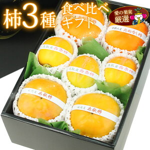 Y  ` 3 Hה MtgZbg (3ރZbgjia̎RY YȂǁj  JL t[c Mtg lߍ킹 v[g yY a j j j oYj 