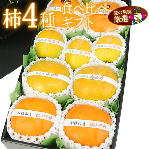 Y  ` 4 Hה MtgZbg (4ރZbgjia̎RY YȂǁj JL t[c Mtg lߍ킹 v[g yY a j j j oYj 