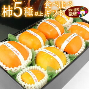 Y  ` 5`7 Hה MtgZbg ia̎RY YȂǁj JL t[c Mtg lߍ킹 v[g yY a j j j oYj j 蕨