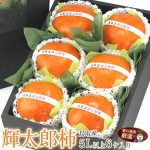 輝太郎柿 5L以上 (3個入〜)(鳥取産)かき カキ フルーツ ギフト 詰め合わせ プレゼント 手土産 お誕生日 お祝い 御祝い 内祝い 出産内祝い 婚礼内祝い 贈り物 お礼 御見舞 お見舞い 退院祝