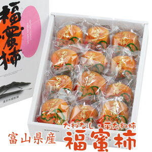  ` y`z(12jixRYj` t[c Mtg lߍ킹 v[g yY a j j j oYj j 蕨  䌩 މ@j 