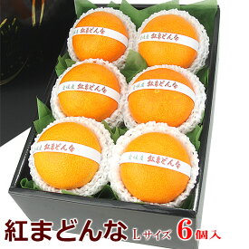 紅まどんな（愛媛産）Lサイズ〜 紅マドンナ お歳暮 お年賀 柑橘 フルーツ ギフト 詰め合わせ プレゼント 手土産 お誕生日 お祝い 御祝い 内祝い 出産内祝い 婚礼内祝い 贈り物 お礼 御見舞 お見舞い 退院祝い 快気祝い 景品 果物 お返し お供え お供え物 法事 法要 四十九日