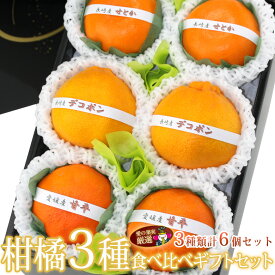 【送料込】国産 美味 柑橘 3種 食べ比べギフトセット(6個入) お祝 プレゼント 手土産 誕生日 お礼 法事 結婚祝い 出産 引き出物 コンペ 贈り物 みかん くだもの フルーツ 果物 内祝い お供え ギフト お返し