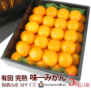 Lc nu ݂via̎RYj2S` t[c Mtg lߍ킹 Ε N v[g yY a j j j oYj j 蕨  䌩 