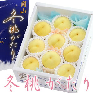 ~y8`9z̓   s[`  t[c Mtg lߍ킹 v[g yY a j j j oYj j 蕨  䌩  މ@