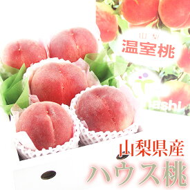 【送料込】ハウス桃(山梨産)（5～6玉入） 温室 もも モモ 白桃 白鳳 Peach おいしい桃 フルーツ ギフト プレゼント 手土産 誕生日 お祝い 内祝い 出産内祝い 贈り物 お礼 御見舞 退院祝い 快気祝い 景品 フルーツ 果物 お供え物 お返し 父の日 お中元 夏ギフト