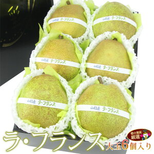  tX myR`Yz  i3`jiV m m mȂ t[c Mtg Ε v[g yY a j j oYj 蕨  䌩 މ@j Cj 