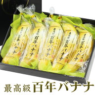 フルーツ ギフト お彼岸 果物 セット 100年 お供え お誕生日 お祝い 内祝い お見舞い【百年 バナナ 金 エ…