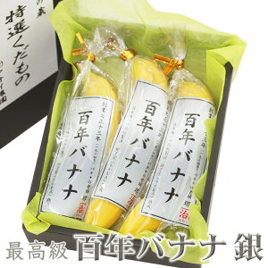 SN 100N oii  GNAhY t[c Mtg nEB v[g yY a j j oYj 蕨  䌩 މ@j Cj ii t[c ʕ  