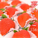 【送料込】【大粒】夢いちご（品種：ゆめのか）15粒 美容 甘い イチゴ 苺 プレゼント お礼 誕生日 ご挨拶 粗品 フルー…