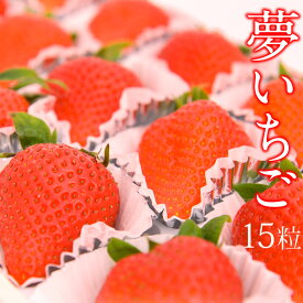 ☆今だけポイント10倍☆【大粒】夢いちご（品種：ゆめのか）10粒〜 ホワイトデー お彼岸 美容 甘い イチゴ 苺 フルーツ ギフト 詰め合わせ プレゼント お誕生日 お祝い 内祝い お返し 出産内祝い 婚礼内祝い 贈り物 お礼 御見舞 退院祝い 快気祝い 果物 お供え 法事 法要