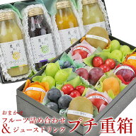 プチ重箱 KPJ-2（プチフルーツ15個 果汁ジュースドリンク4本）フルーツ ギフト ホワイトデー お彼岸 入園…