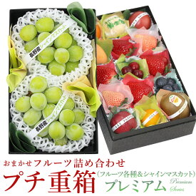 ★500円offクーポン配布中★プチ重箱プレミアム FPJ-15（プチフルーツ15個 シャインマスカット2房) フルーツ ギフト 果物 お年賀 詰め合わせ プレゼント 手土産 お誕生日 お祝い 内祝い 出産内祝い 婚礼内祝い 贈り物 お礼 御見舞 退院祝い お返し お盆 お盆 法事 法要