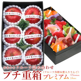 プチ重箱プレミアム FPJ-2（プチボックス15個 蜜入りんご(こみつ または こうとく) 林檎 フルーツ ギフト 詰め合わせ プレゼント お見舞い 手土産 お誕生日 お祝い 御祝い 内祝い 出産内祝い 婚礼内祝い 贈り物 お礼 退院祝い 快気祝い 果物 お返し お供え