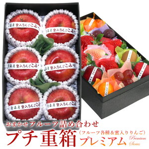 v`dv~A FPJ-2iv`{bNX15 (݂ ܂ Ƃ) ь t[c Mtg Ε N lߍ킹 v[g yY a j j j oY