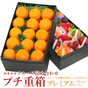 v`dv~A FPJ-4(v`t[c15 ̂Ԃ݂30 1.7kg) ݂  k t[c Mtg Ε N lߍ킹 v[g yY a j j j oY