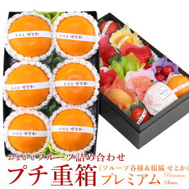 プチ重箱プレミアム FPJ-6（プチフルーツ15個 せとか6個）みかん 柑橘 蜜柑 フルーツ ギフト 詰め合わせ ホワイトデー お彼岸 入学 卒業 プレゼント 手土産 お誕生日 お祝い 御祝い 内祝い 出産内祝い 婚礼内祝い 贈り物 お礼 御見舞 お見舞い 退院祝い 果物 お返し お供え