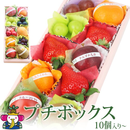 父の日 Jp 父の日ギフト フルーツ 果物 売れ筋ランキング 毎日更新