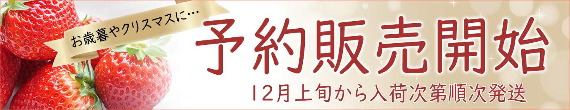 いちご予約販売