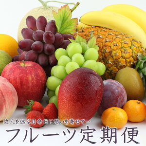 y 3ցzʕ t[c    @ O @v 䕧O 荇킹  ʕ  V  O 肩 49 l\ 䋟  