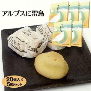 xR yY AvXɗ 20×5 xR݂₰ R ݂₰ R݂₰  C`E ^܂񂶂イ aَq