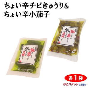 ちょい辛チビきゅうり100g&ちょい辛小茄子160gセット【ゆうパケット】
