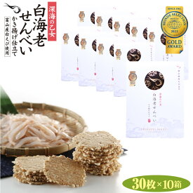 【送料無料】白海老かき揚げ煎餅30枚×10箱