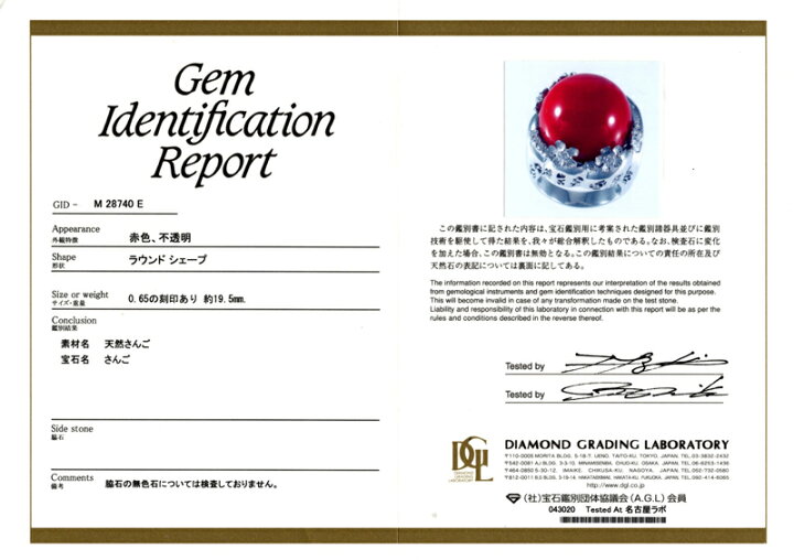 楽天市場】【ｾｰﾙ】大粒赤珊瑚 約19.5mm リング 16号 PT900 プラチナ 