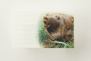 アイヌ木彫りの熊メッセージカード10枚セット　"フナク　ワ　エ　エク?"