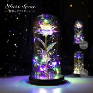 【ランキング1位獲得】【人気商品】 照明 薔薇 ガラスドーム LED ギャラクシーorブルー 3D オブジェ イン…