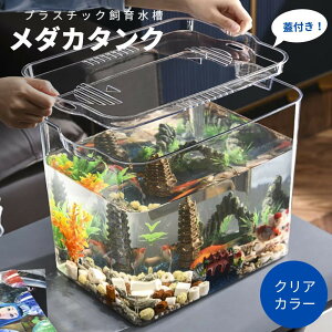  Wt _ _J^N NA CeA  vX`bN v ANAE eE R ċx Mы  AQUARIUM   _J 킢 IuWF