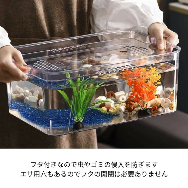 楽天市場】【予約商品】水槽 蓋付き メダ家 メダカタンク クリア  