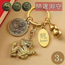 【普通郵便発送】 開運 キーホルダー 龍と干支とひょうたんのキーホルダー 辰 巳 午 龍のお守り ラッキードラゴン 風水 干支 アクセサリー コイン 吊り下げ おしゃれ かっこいい 高級 ギフト ネックレス インテリア オブジェ キラキラ カー