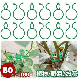 植物 野菜 ホルダー フックリング 4cm 50ペアセット ガーデニング ガーデン 支柱 畑 グリーン ビニールハウス 家庭菜園 農作業 栽培 資材 園芸用品 農業資材 園芸支柱 アーチ支柱 トンネル支柱 農業用 支柱 園芸用支柱 ガーデン用品 バレンタイン