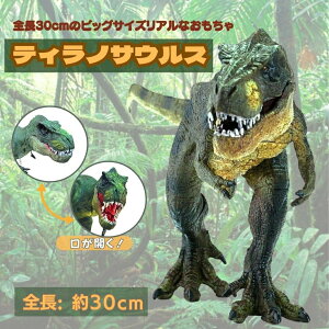 ߋ  A eBmTEX { 30cm TbNX u o[Xf[ v[g  j̎q ǔ Birthday _Ci\[ WI WVbN I q LbY p[eB[ 