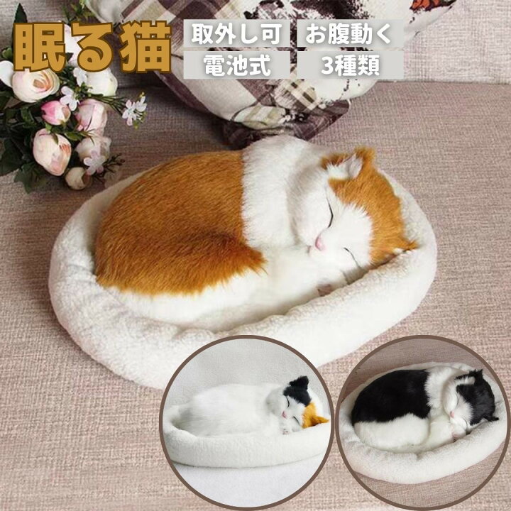 楽天市場】【人気商品】 インテリア クッションで寝る猫 3色カラー 