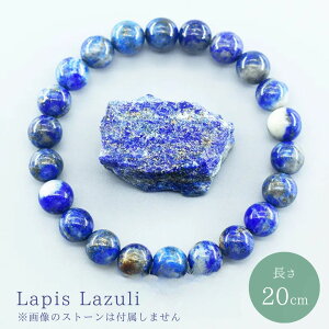 yʗX֔z sXY VR  uXbg WG[ ANZT[ Xs`A   ґz f[g v[g Mtg 蕨 ̓ ̓ f[g  