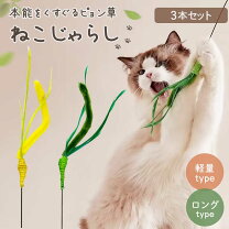 楽天市場】猫じゃらし 草の通販