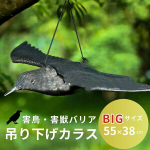 悯 JX ݂艺     ǂ x_  ng \h  o[h h JX΍ 炷悯 ƒ؉ _Ɨpi  c Q΍ ng co XY  