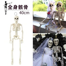 今だけ10％OFF 12/11終了 【人気商品】 ハロウィン 骸骨 40cm 全身骸骨 ガイコツ 骨 置物 ホラー リアル 本格的 誕生日 飾り付け 室内 置物 仮装 クリスマス用品 スケルトン skeleton 骨 ボーン かわいい Xmas Christmas おしゃれ パーティー