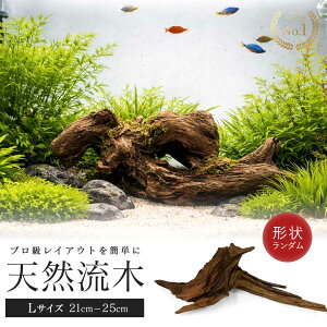 �y�����L���O1��6���B���z�A�N�A���E�� ���� �[Ver2�[ �`�󂨔C���^�C�v 21�`25cm �����B�e �e�����E�� ���C�A�E�g�p�i ���� �����x�[�X �B��� �W������ �M�ы� ঒��� ������ �y�b�g�p�i ���R