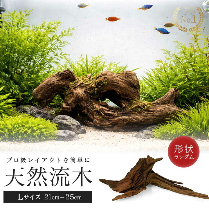 楽天市場】【ランキング1位6冠達成】アクアリウム 流木 ーVer2ー 形状 