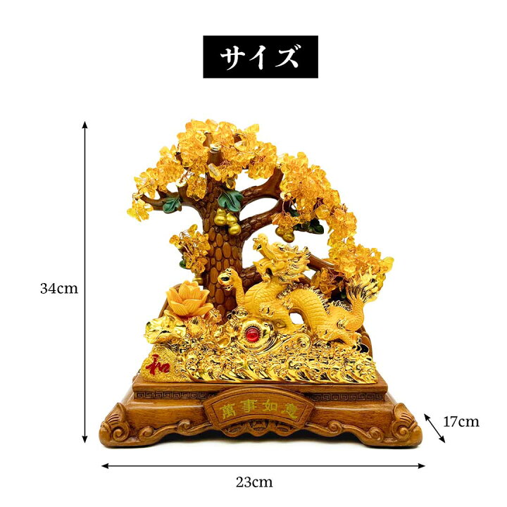 楽天市場】【予約商品】風水 龍の黄金木 大サイズ 招財樹 金のなる木 