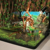 楽天市場 1個 Sサイズ 形状お任せタイプ アクアリウム 流木 煮沸済 流木 水槽撮影 テラリウム レイアウト 流木 水草 流木 石 テラリウム用 隠れ家 活着ベース 水槽 淡水水槽 爬虫類 両生類 亀 熱帯魚 ペット用品 ステイホーム 自宅 家 趣味 お洒落 木製 天然木 Aio